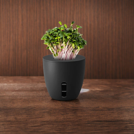 Microgreen Starter Kit