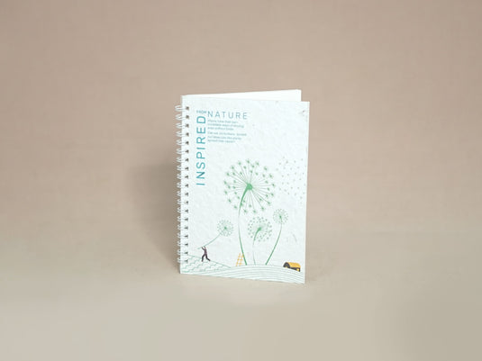 Sustainable Beginnings II