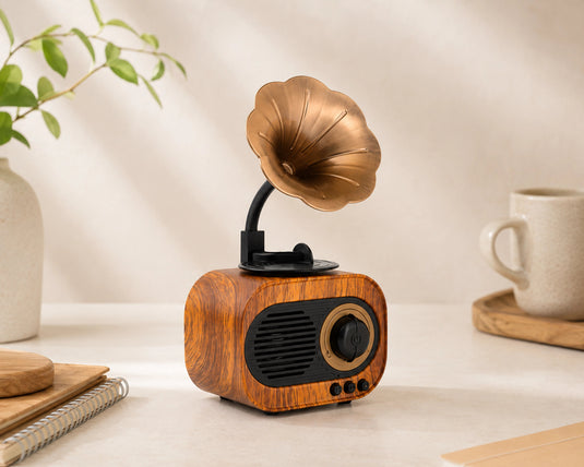 Retro Blue Tooth Speaker